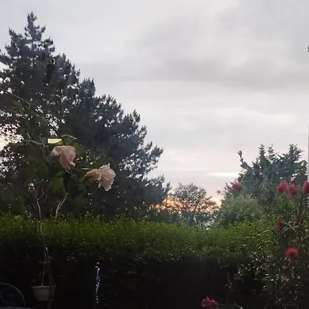 Proche De La Avec Jardin