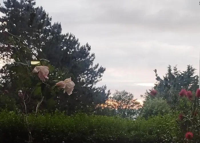 Proche De La Avec Jardin